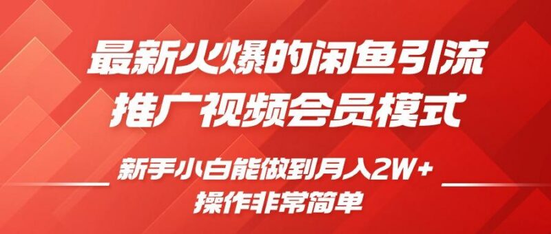闲鱼引流推广影视会员,0成本就可以操作,新手小白月入过W+【揭秘】-三零资源