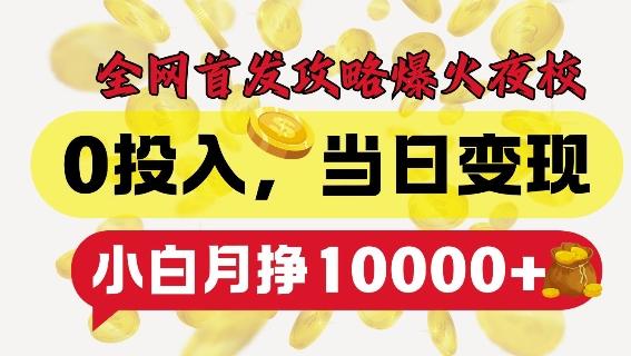 全网首发爆火夜校,0投入,当日变现,小白轻松月入1w+【揭秘】-三零资源