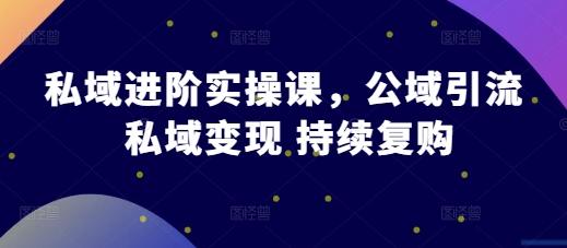 私域进阶实操课，公域引流 私域变现 持续复购 三零资源-三零资源