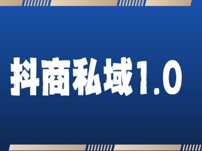 抖商服务私域1.0,抖音引流获客详细教学-三零资源
