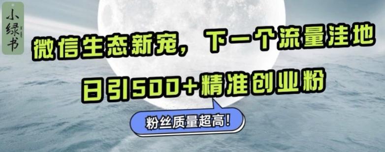微信生态新宠小绿书:下一个流量洼地,日引500+精准创业粉,粉丝质量超高-三零资源