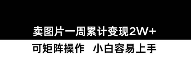 小红书【卖图片】一周累计变现2W+小白易上手-三零资源
