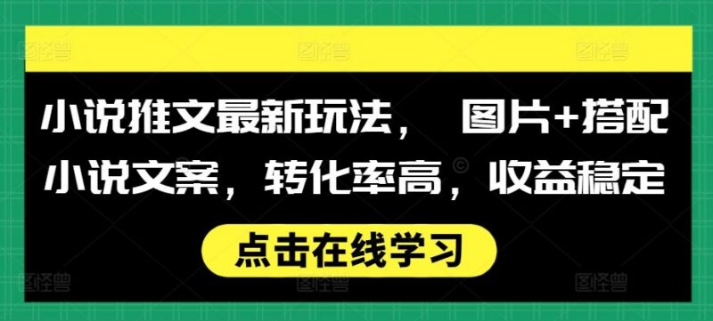 小说推文最新玩法, 图片+搭配小说文案,转化率高,收益稳定-三零资源