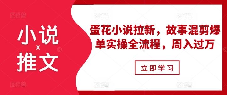 小说推文之蛋花小说拉新，故事混剪爆单实操全流程，周入过万-三零资源