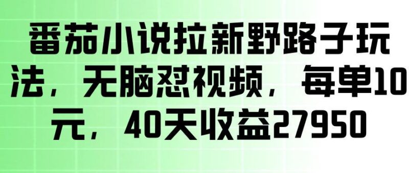 番茄小说拉新野路子玩法,无脑怼视频,玩法简单、见效快,每单10米,40天收益27950-三零资源
