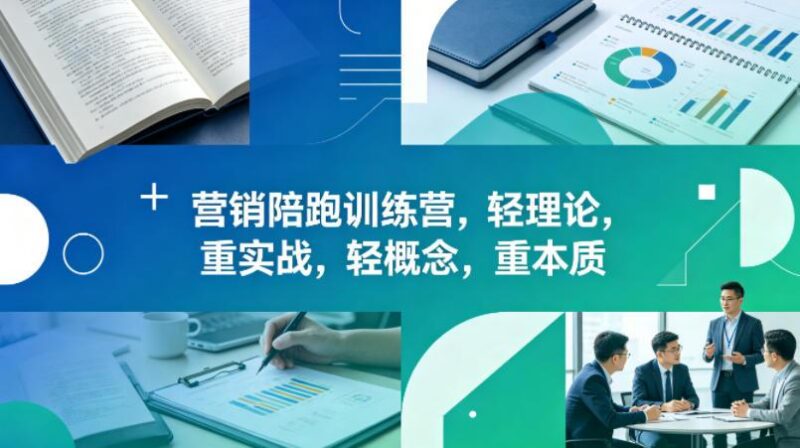老A营销陪跑训练营,轻理论,重实战,轻概念,重本质(更新2026年6月)-三零资源