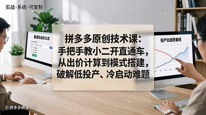 拼多多原创技术课:手把手教小二开直通车,从出价计算到模式搭建,破解低投产、冷启动难题-三零资源