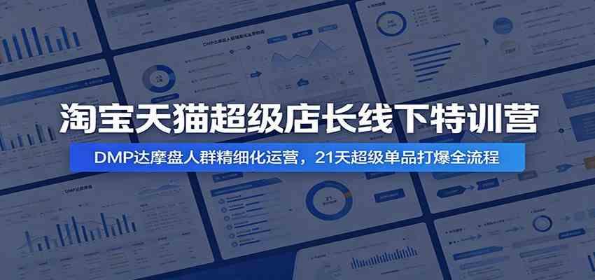 淘宝天猫超级店长线下特训营:DMP达摩盘人群精细化运营,21天超级单品打爆全流程