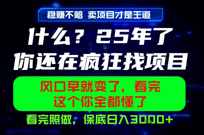 26年,请不要疯狂的找项目做了!卖项目才是真的稳賺不赔,看完照做,保底日入1k+【揭秘】