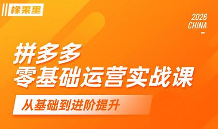 仙道电商·拼多多零基础运营实战课-三零资源