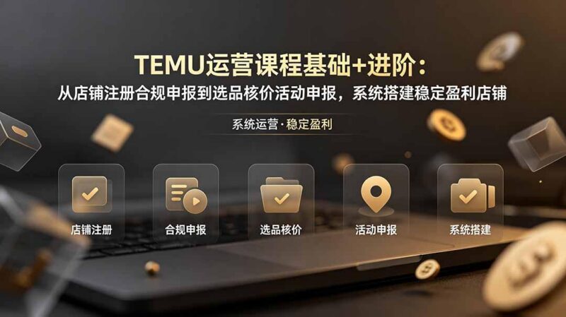 TEMU运营课程(基础+进阶-三零资源