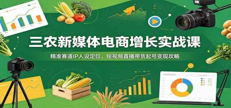 三农新媒体电商增长实战课：精准赛道IP人设定位，短视频直播带货起号变现攻略-三零资源
