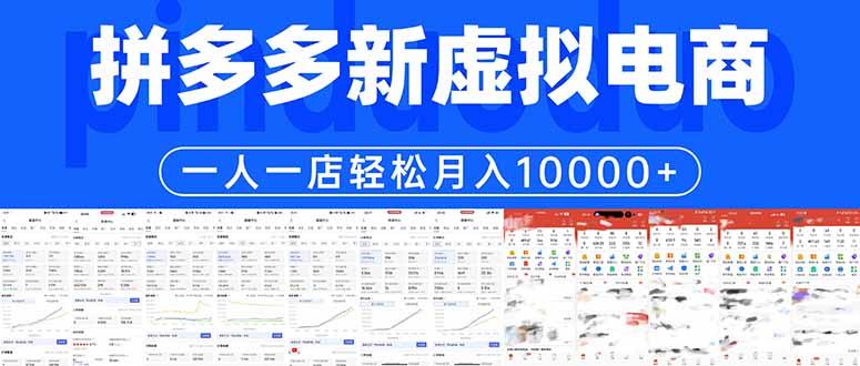 拼多多虚拟电商一人一店轻松月入10000+-三零资源