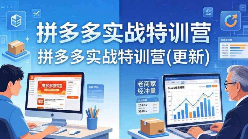 拼多多实战特训营(更新4月-三零资源