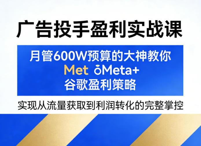 广告投手盈利实战课,月管600W预算的大神教你Meta+谷歌盈利策略,实现从流量获取到利润转化的完整掌控-三零资源