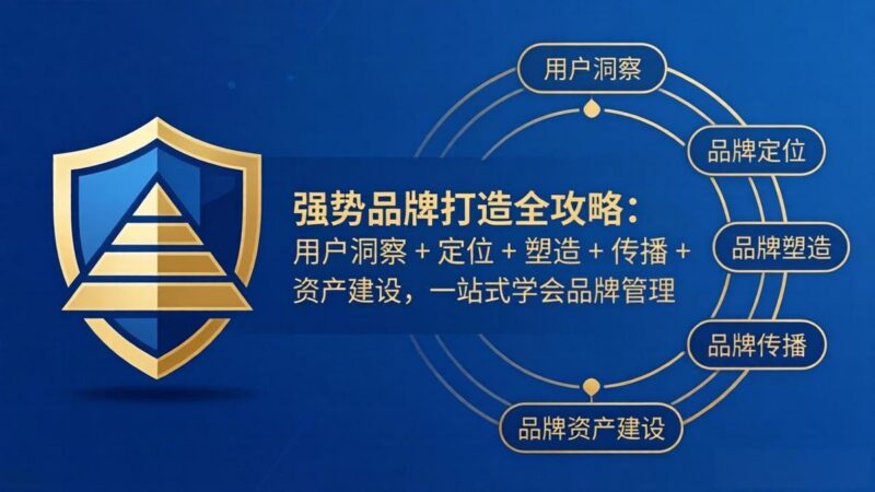 强势品牌打造全攻略:用户洞察 + 定位 + 塑造 + 传播 + 资产建设,一站式学会品牌管理-三零资源