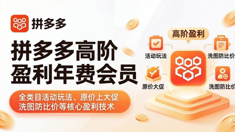 拼多多高阶盈利年费会员(更新4月-三零资源