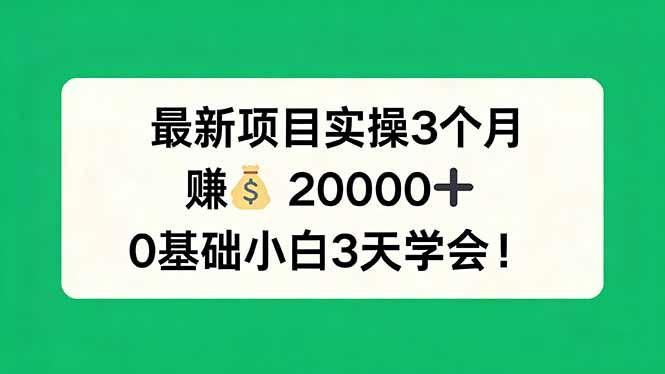 最新项目实操3个月，赚钱20000+，0基础小白3天学会！-三零资源