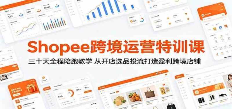 Shopee跨境运营特训课:三十天全程陪跑教学,从开店选品投流打造盈利跨境店铺-三零资源