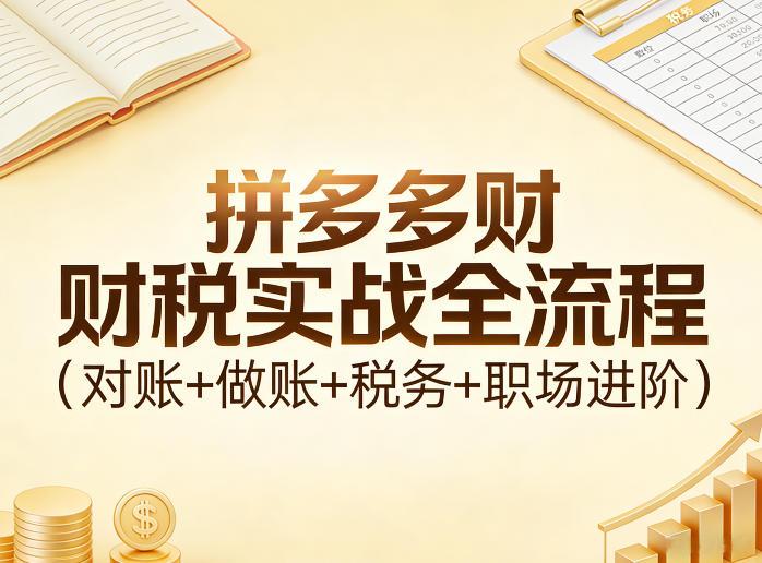 拼多多财税实战全流程(对账+做账+税务+职场进阶)-三零资源