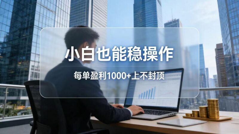 2026新项目,小白也能稳操作,每单盈利1000+上不封顶