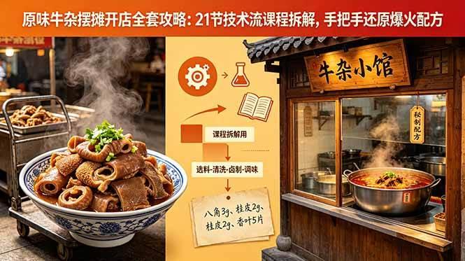 原味牛杂摆摊开店全套攻略:21节技术流课程拆解,手把手还原爆火配方-三零资源