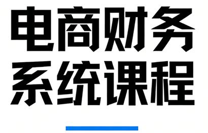 郑老师·电商财务系统课程-三零资源