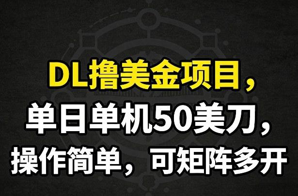 DL撸美金项目,单日单机50美刀,操作简单,可矩阵多开-三零资源