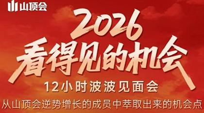 波波·2026看得见的机会12小时波波见面会(东莞线下课2月1日)-三零资源