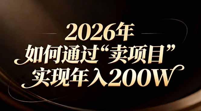 站在2026年的十字路口:一个普通人如何通过卖项目实现年入200万-三零资源