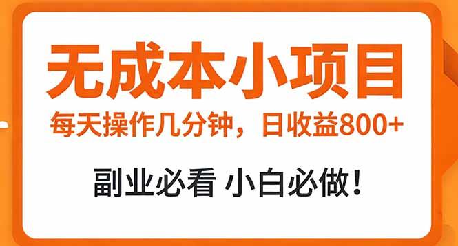 无成本小项目 每天操作几分钟,真实日收益800+ 副业必看 小白必做!-三零资源