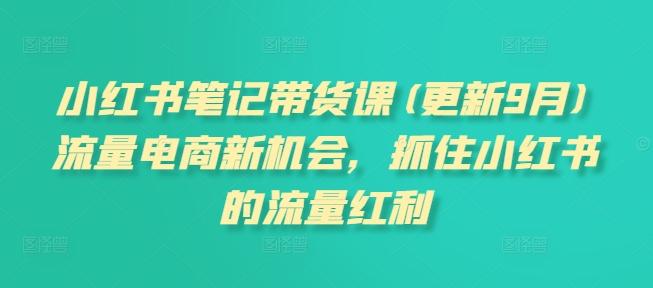 小红书笔记带货课,流量电商新机会,抓住小红书的流量红利(更新26年2月)-三零资源