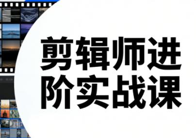 剪辑师进阶实战课(更新23年-25年)-三零资源
