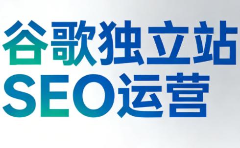 谷歌独立站SEO运营(更新2026)-三零资源