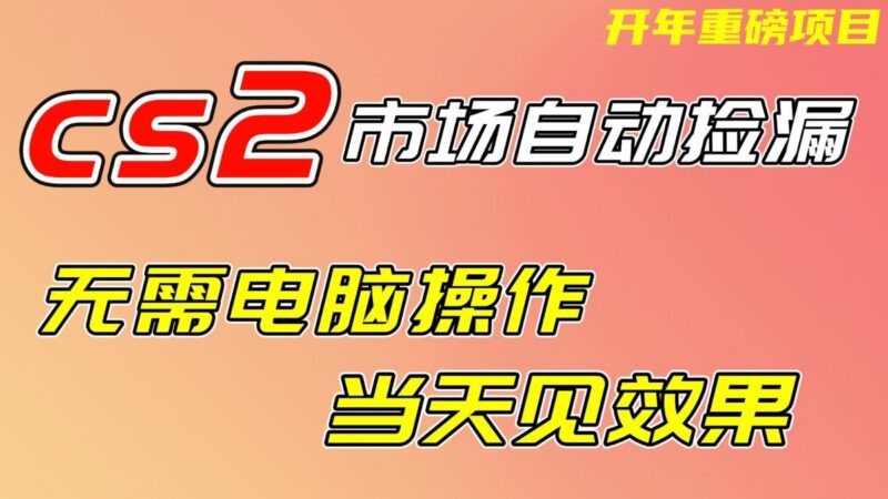CS2市场挂机项,无需电脑操作,无需进入游戏,当天见效果,支持任何形式验证-三零资源