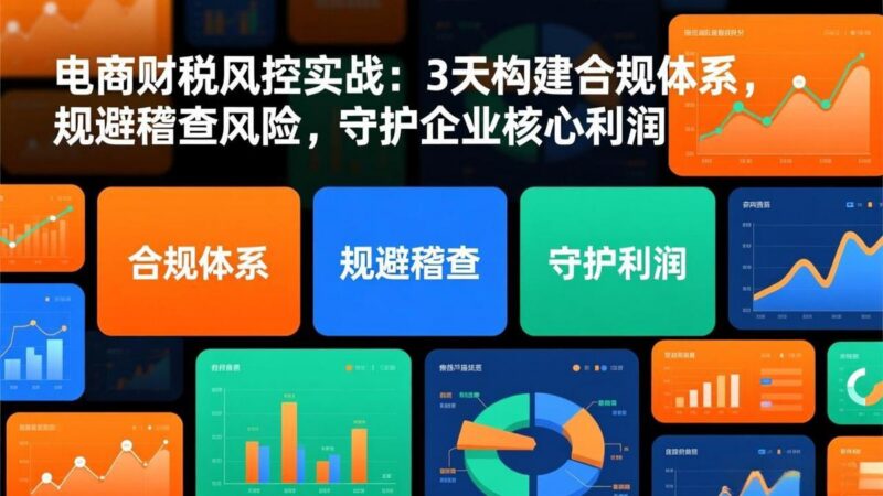 电商财税风控实战:3天构建合规体系,规避稽查风险,守护企业核心利润-三零资源