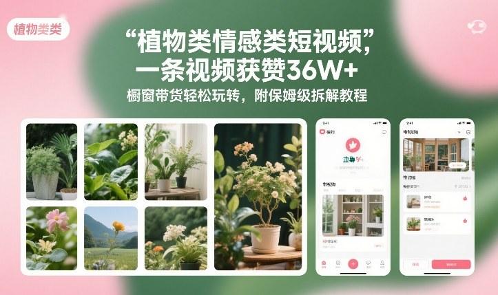 植物类情感类短视频,一条视频获赞36W+,橱窗带货轻松玩转,附保姆级拆解教程-三零资源