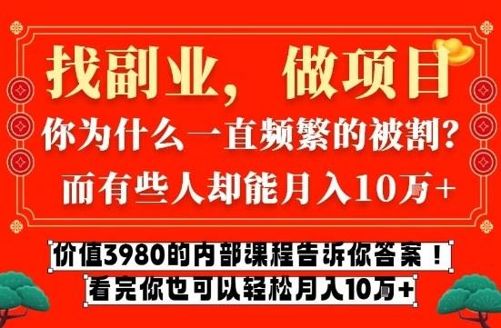 价值3980的网创内部课程，告诉你互联网创业月入10个W的秘密【揭秘】-三零资源