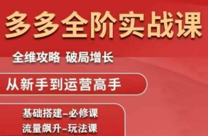 大炮·拼多多全阶实战课程(更新2026)-三零资源