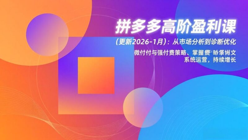 拼多多高阶盈利课(更新2026-1月