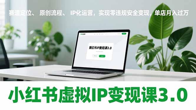 小红书虚拟IP变现课3.0，赛道定位、原创流程、IP化运营，实现零违规安全变现，单店月入过万