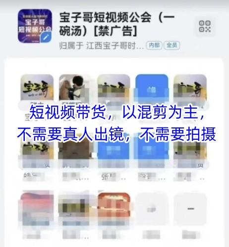 宝子哥头部团队短视频带货，以混剪为主，不需要真人出镜，不需要拍摄【更新12月】-三零资源