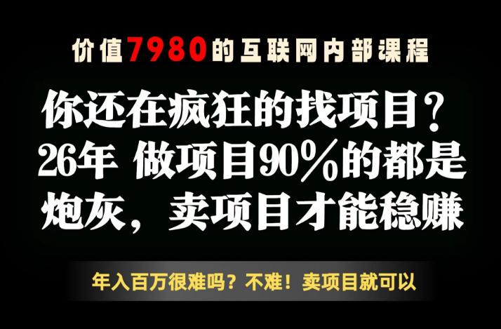 26年请不要疯狂的找项目了,卖项目远比你想象的暴利,你也可以月入10W+【揭秘】-三零资源