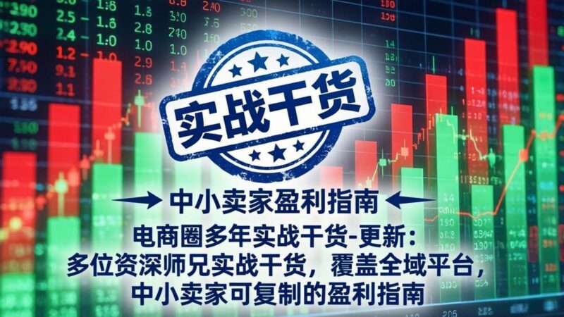 电商圈多年实战干货-更新5月20：多位资深师兄实战干货/覆盖全域平台，中小卖家可复制的盈利指南-三零资源