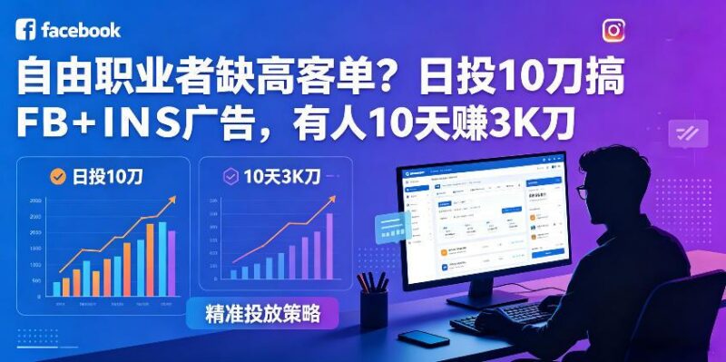 自由职业者缺高客单？日投10刀搞FB+INS广告，有人10天赚3K刀！【原创双语字幕】-三零资源