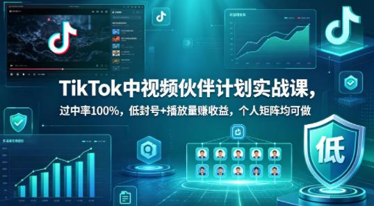 TikTok中视频伙伴计划实战课,过中率100%,低封号+播放量賺收益,个人矩阵均可做-三零资源