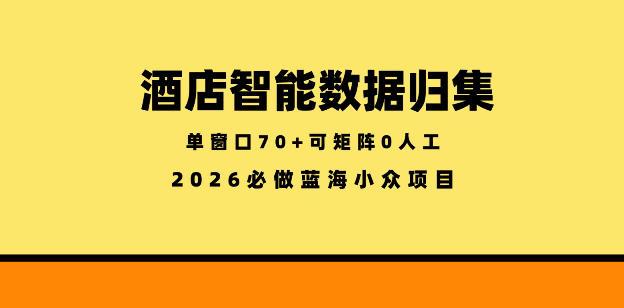 酒店智能数据归集,小众蓝海已经稳定半年之久,单窗口70+零成本矩阵开干【揭秘】-三零资源