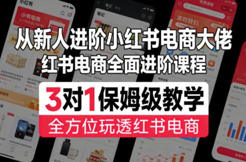 从新人进阶小红书电商大佬，红书电商全面进阶课程，3对1保姆级教学，全方位玩透红书电商-三零资源