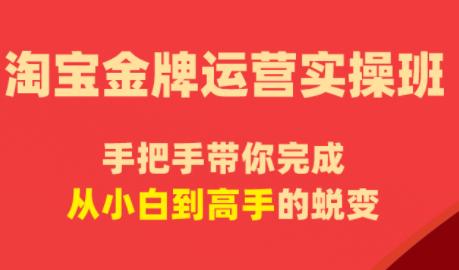 飓风电商·淘宝金牌运营实操班-三零资源