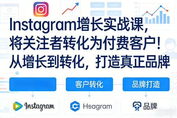 Instagram增长实战课，将关注者转化为付费客户！从增长到转化，打造真正品牌（双语字幕）-三零资源